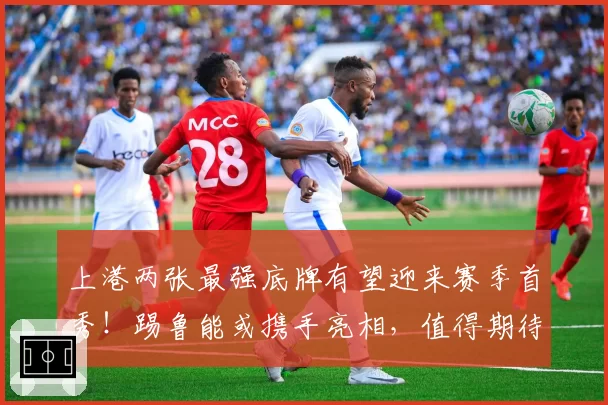 上港两张最强底牌有望迎来赛季首秀！踢鲁能或携手亮相，值得期待