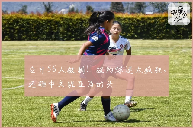 合计56人被捕!纽约球迷太疯狂,还砸中文班亚马的头