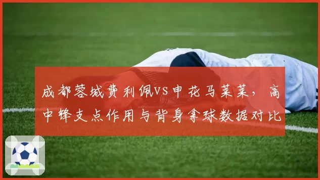 成都蓉城费利佩vs申花马莱莱,高中锋支点作用与背身拿球数据对比