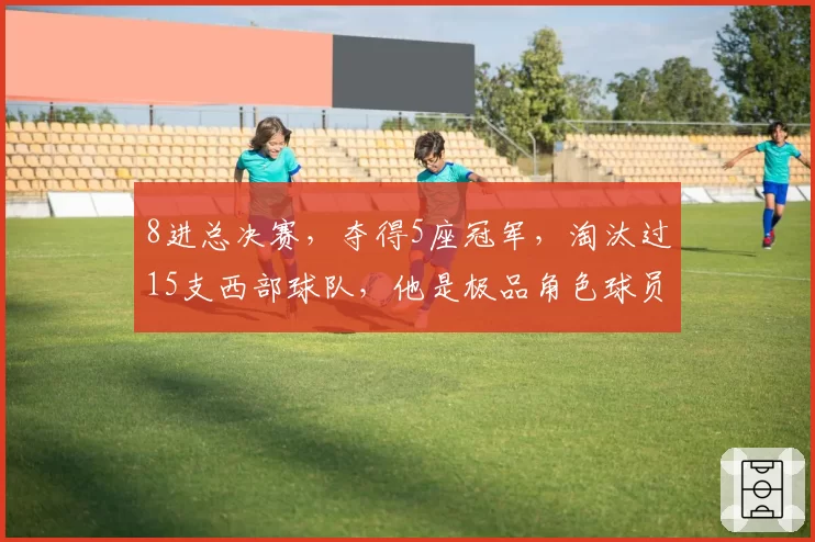 8进总决赛，夺得5座冠军，淘汰过15支西部球队，他是极品角色球员